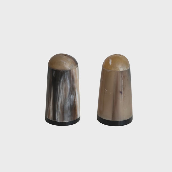 Horn Salt & Pepper Shakers